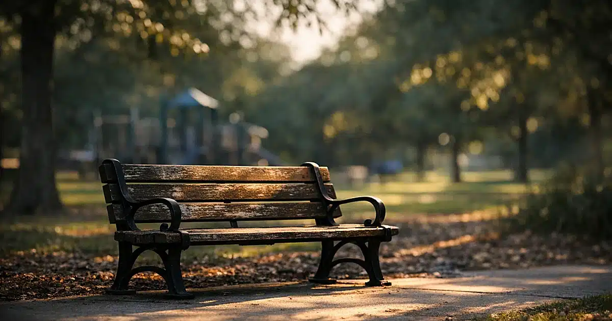 Empty wooden park bench in afternoon light with trees casting shadows on concrete pathway