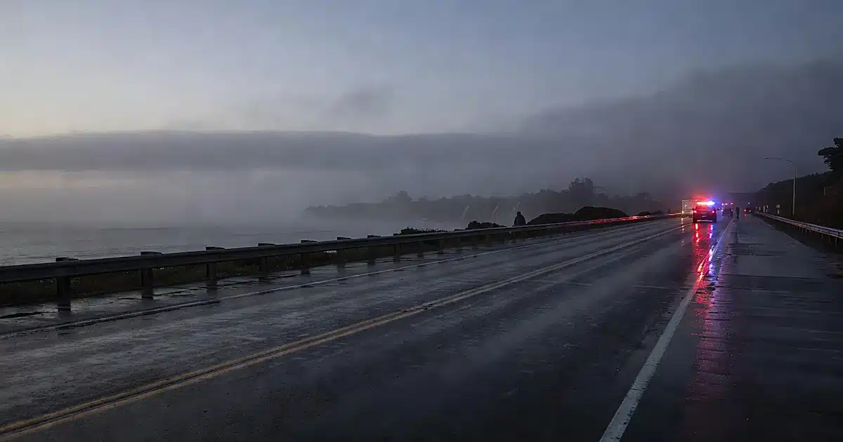 Emergency lights reflecting on wet Pacific Coast Highway pavement at dawn with coastal fog